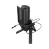 Streamovací mikrofon Genesis RADIUM 250, Černý
