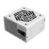 FSP VITA GM White/1000W/ATX 3.1/80PLUS Gold/Modular/Retail